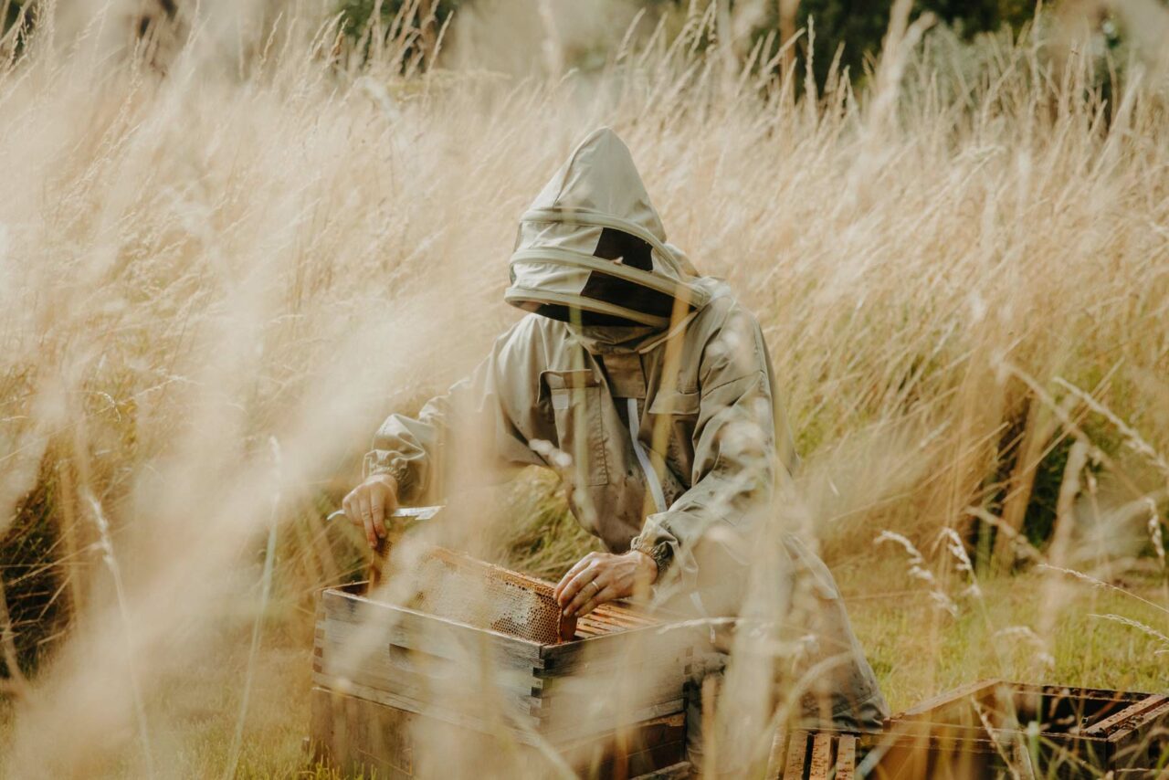 Wye Valley Meadery bee keeper, Matt, knelt in a field tending to a bee hive. Shot in the evening light for the latest Hive Mind campaign in August 2024.